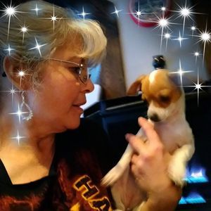 Meet your Posher, Shelby